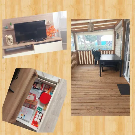 Mh 278 Les Dunes De Contis 